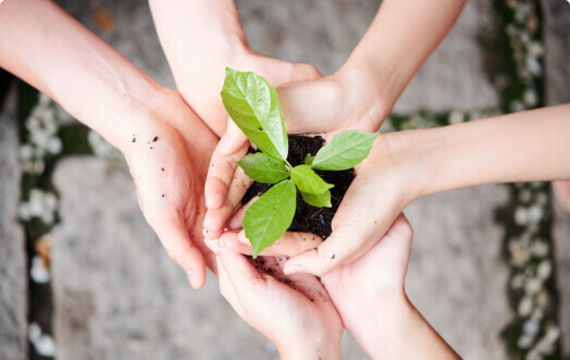 img-green-plant-1